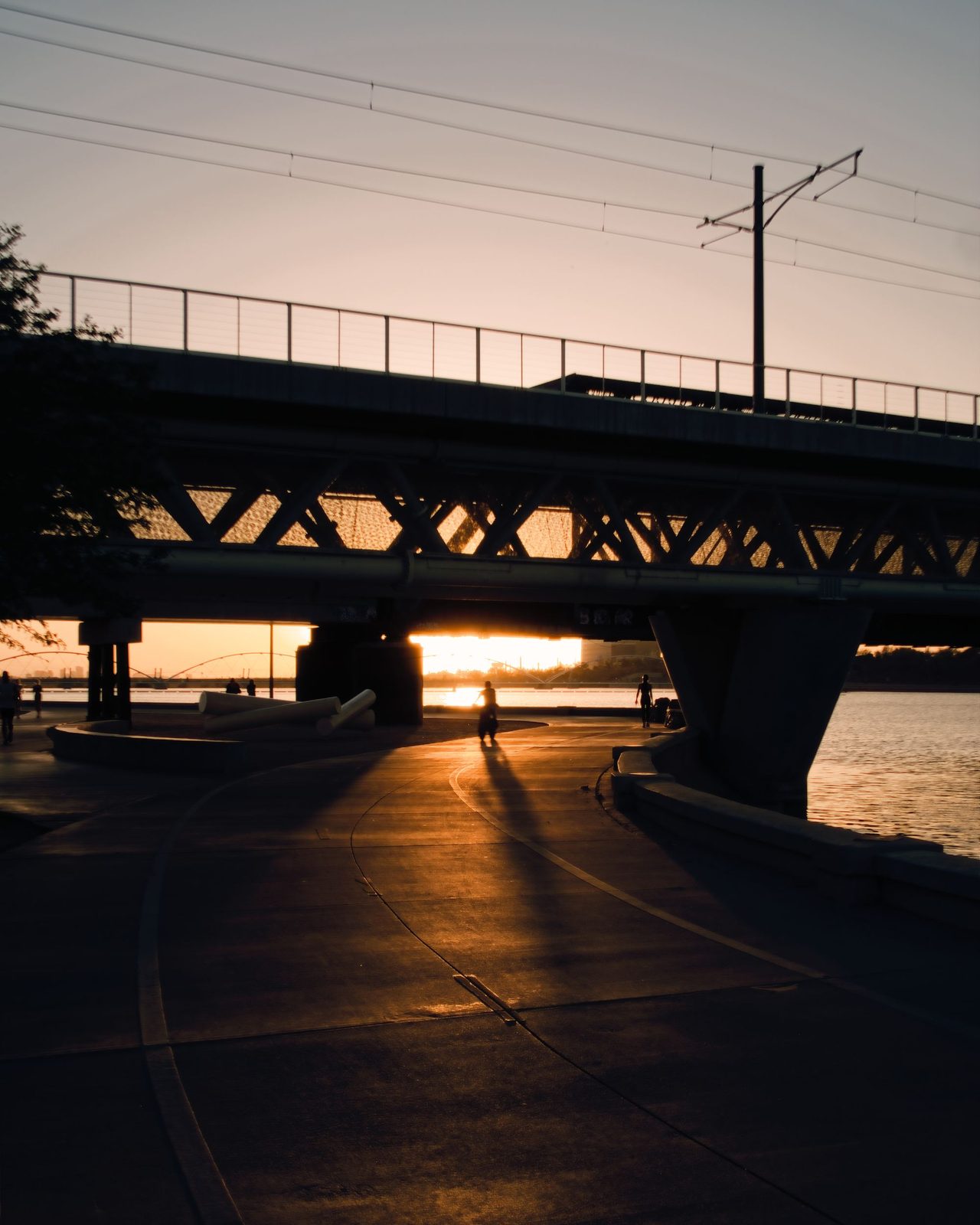 Bridge over Tempe Town Lake at sunset with palm trees along the shore
