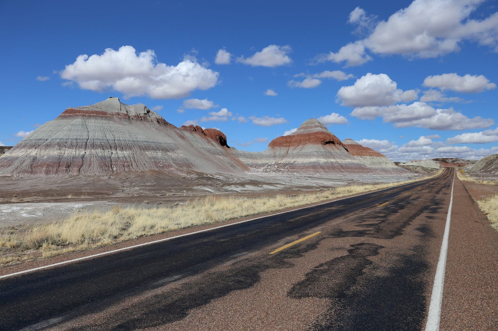 Paved road winding through the painted badlands of Petrified Forest National Park