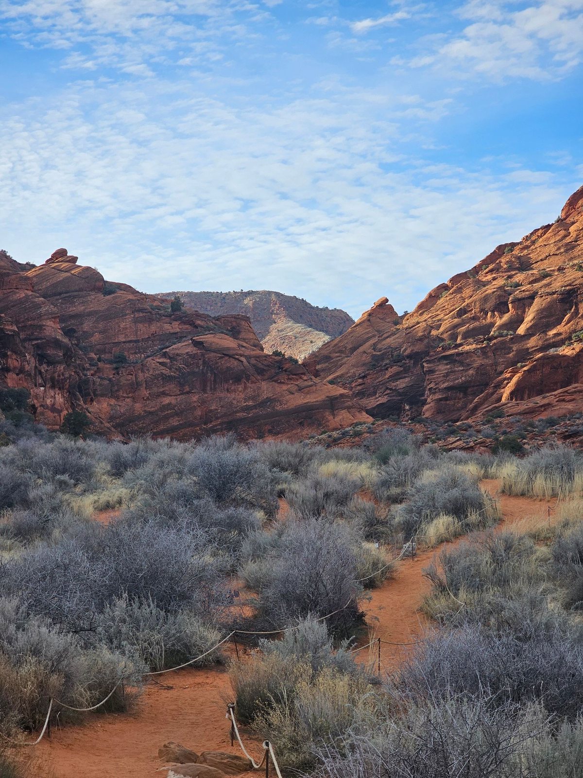 Red rock cliffs and desert brush under a blue sky in southwest Utah